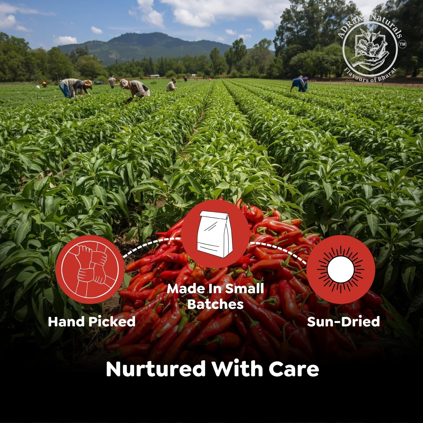 ADRaKa Naturals Guntur Spicy Red Chilli Powder – Bold Heat, No Artificial Colour
